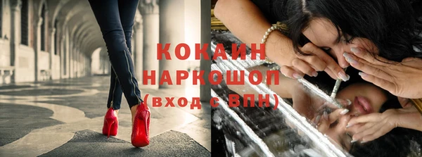 индика Новокубанск