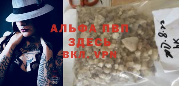 индика Новокубанск
