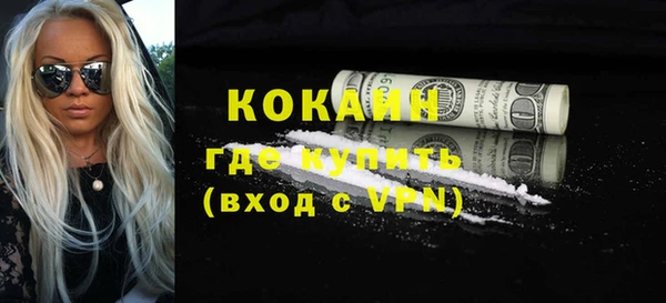 стафф Новозыбков