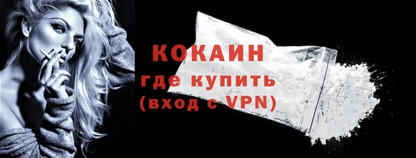 стафф Новозыбков