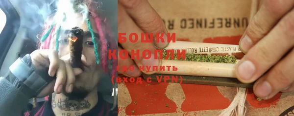 индика Новокубанск