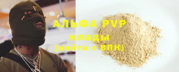 индика Новокубанск