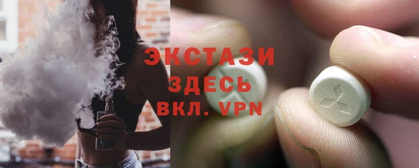 индика Новокубанск