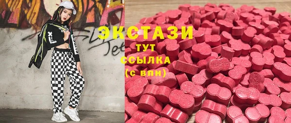стафф Новозыбков