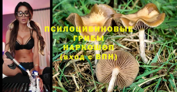 мефедрон мука Новодвинск