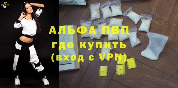 стафф Новозыбков